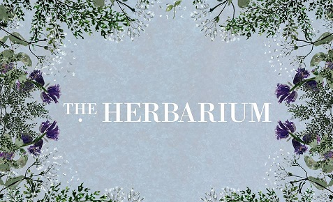 The Herbarium